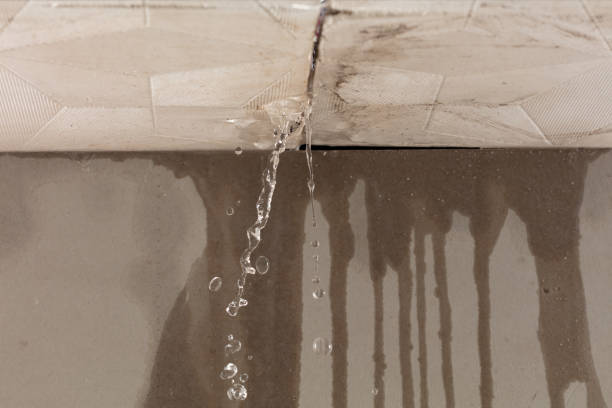 Professional Burst Pipe Cleanup technician working in Mead, NE